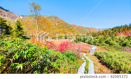 Tsugaike自然花園(秋季) Tsugaike自然花園(秋季) 92085372