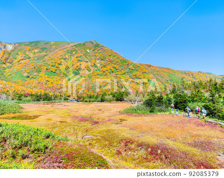 Tsugaike Nature Garden (Autumn) 92085379