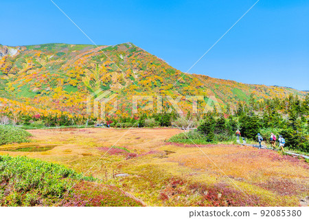 Tsugaike自然花園(秋季) Tsugaike自然花園(秋季) 92085380