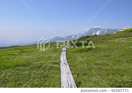 Goshokugahara and Mt. Tomuraushi (Daisetsuzan, Hokkaido) Goshokugahara and Mt. Tomuraushi (Daisetsuzan, Hokkaido) 92085731