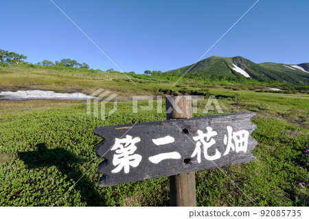 Mt. Midori and the second flower field (Daisetsuzan, Hokkaido) Mt. Midori and the second flower field (Daisetsuzan, Hokkaido) 92085735