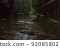 Flying fireflies Murou River, Murou, Nara Prefecture 92085802