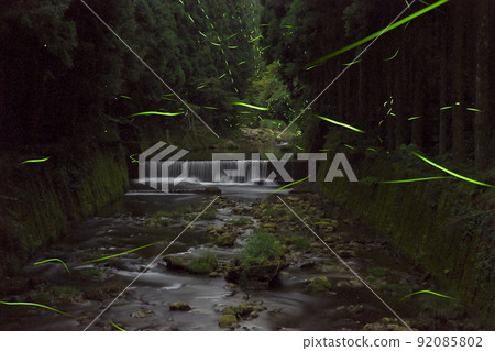 Flying fireflies Murou River, Murou, Nara Prefecture Flying fireflies Murou River, Murou, Nara Prefecture 92085802