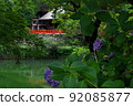 Takakamo Shrine Main Hall Haiden Along with Hydrangea, Gose City, Nara Prefecture 92085877