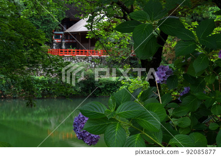 Takakamo Shrine Main Hall Haiden Along with Hydrangea, Gose City, Nara Prefecture 92085877