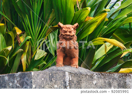 Shisa Shisa 92085991