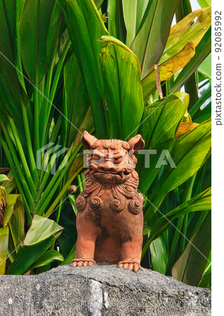 SHISA SHISA 92085992