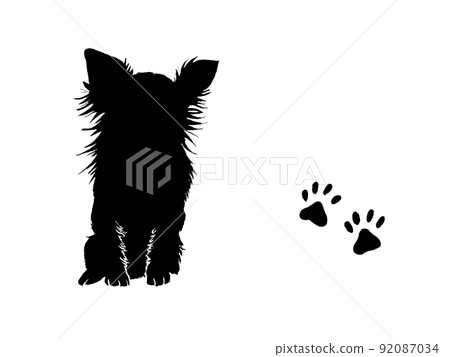 Chihuahua silhouette staring at you 92087034
