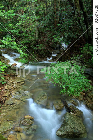 A cool summer mountain stream with brilliant greenery 92087329