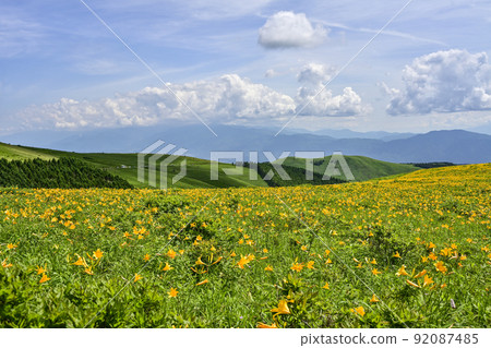 Kuruma Kogen的Nikko Kishge 92087485