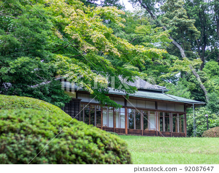 Fresh green scenery of Meiji Jingu 92087647