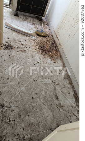 Pigeon feces droppings be stained on the tiled balcony Pigeon feces droppings be stained on the tiled balcony 92087962