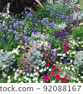 花床花 92088167