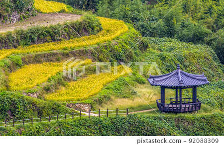 Autumn in Gacheon Darengi Village, Namhae-gun, where the rice is ripe 92088309
