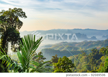 Rice terraces near Doi Tapang viewpoint in Chumphon, Thailand 92089506
