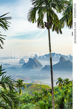 Rice terraces near Doi Tapang viewpoint in Chumphon, Thailand 92089570