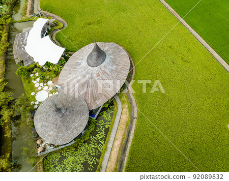Aerial view of thai restaurant in rice fields in Nakhon Pathom, Thailand Aerial view of thai restaurant in rice fields in Nakhon Pathom, Thailand 92089832