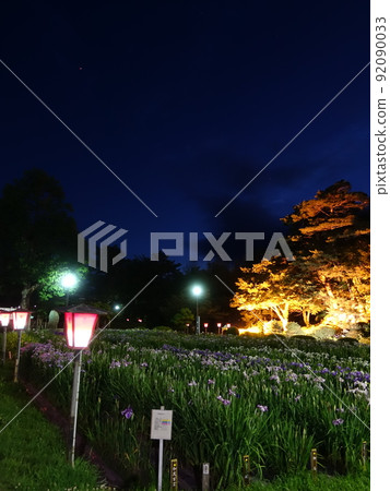 盛開的鳶尾花 Ayame Nagai Ayame Park 92090033