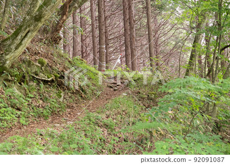 Pleasant mountain trail Pleasant mountain trail 92091087