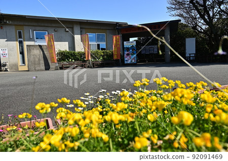 鹿兒島指宿觀光山川鹽工廠舊址 鹿兒島指宿觀光山川鹽工廠舊址 92091469