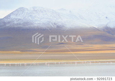 阿塔卡馬 阿塔卡馬 92091723