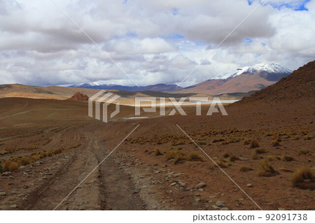 Atacama 92091738