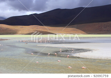 Atacama 92091759