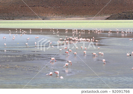 Atacama Atacama 92091766