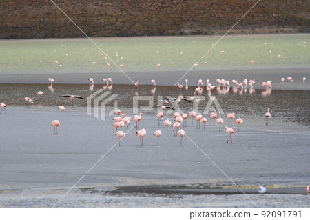 Atacama Atacama 92091791