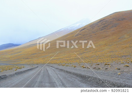 阿塔卡馬 阿塔卡馬 92091821