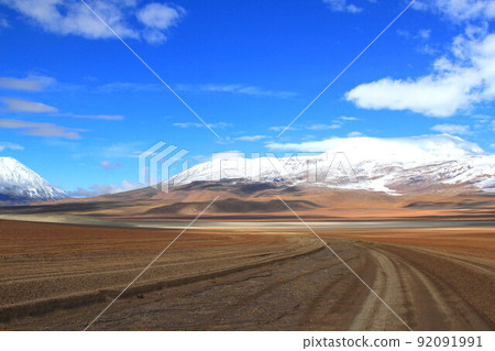 阿塔卡馬 92091991