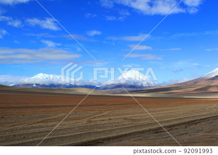 阿塔卡馬 92091993