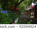 Collaboration between abandoned Nagaya and hydrangea, Iwade City, Wakayama Prefecture 92094924