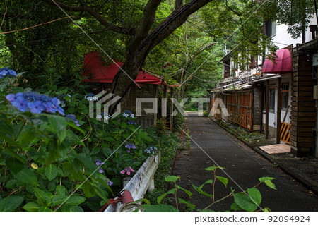 和歌山縣岩出市廢棄的長屋與繡球花的合作 和歌山縣岩出市廢棄的長屋與繡球花的合作 92094924