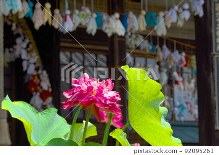 奈良縣五條市 teru teru bozu 正蓮寺 奈良縣五條市 teru teru bozu 正蓮寺 92095261