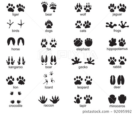 animal, icon, silhouette 92095992
