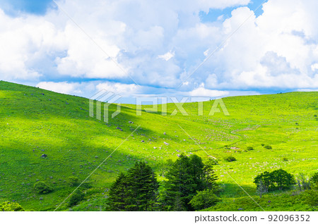 夏天 來間山高原信州 92096352