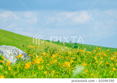 夏日百合花盛開的來間山高原 92096390