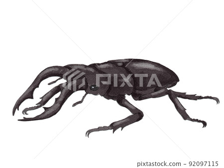 雄性鍬形甲蟲的對角線插圖(水彩風格) 雄性鍬形甲蟲的對角線插圖(水彩風格) 92097115