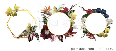 A set of tropical frames. Parrots. Realistic illustration of tropical flowers and leaves. 92097439