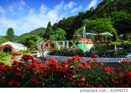 Hanamaki City, Iwate Prefecture, a blue sky and a rose garden in full bloom 92099373