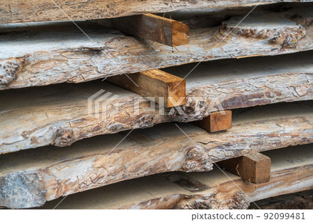 Trees for drying timber Trees for drying timber 92099481