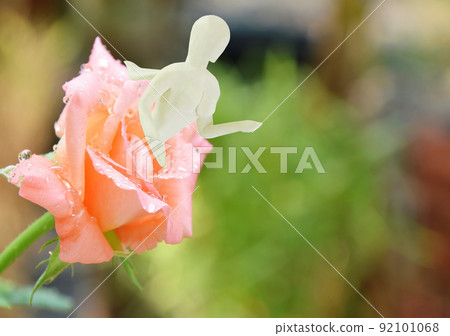 pink rose with white clay woman or nymph on bloom in garden pink rose with white clay woman or nymph on bloom in garden 92101068