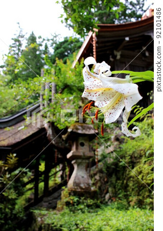 入川上神社 入川上神社 92101486