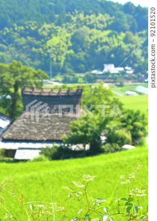 《Osaka Prefecture》 Nose Town Hase Tanada and Rural Scenery 《Osaka Prefecture》 Nose Town Hase Tanada and Rural Scenery 92101520