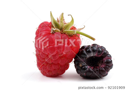 Red and black raspberries 92101909