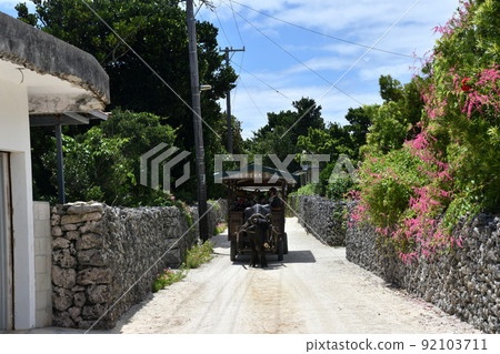 Hateruma Island 92103711