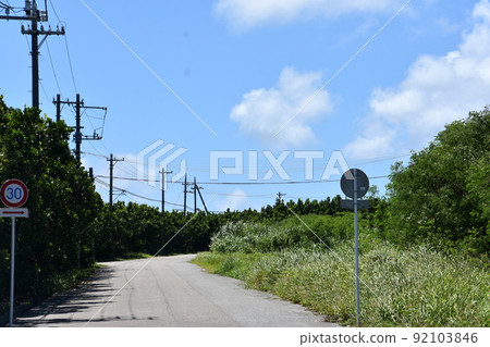 Hateruma Island 92103846