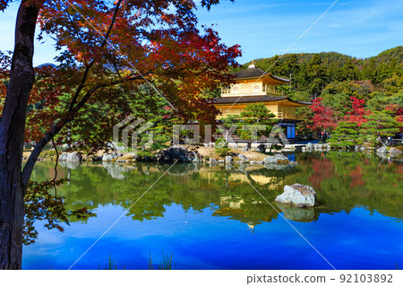 秋葉時節的京都金閣寺花園和池塘 92103892