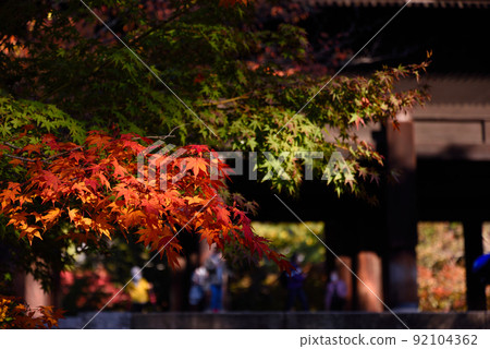 The autumnal leaves of Kyoto 92104362